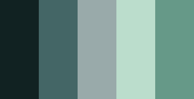 color-palettes:  Seamoss - Submitted by Kahvinporo #112222 #446666 #99AAAA #BBDDCC #669988
