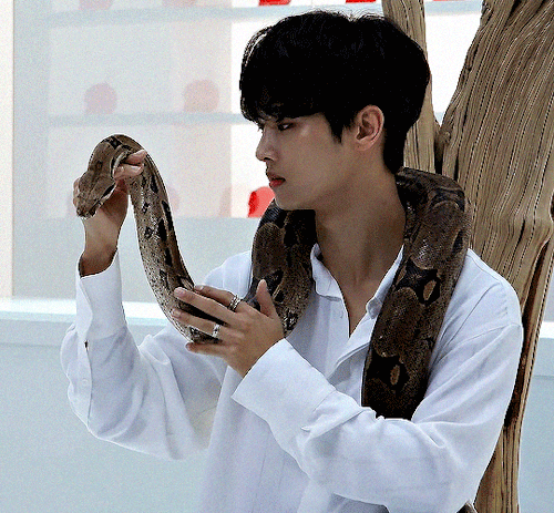 donghuun:CHA HAKYEON THE ONLY MAN for my beloved deah’s @shesnake birthday