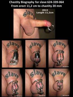 1ovinghermyway:  slave624339064:  From erect length 11,2 cm 2013 to chastity 75 mm, 65mm, 45mm, 35mm, 25mm and now 20 mm 2017. And the erect length has now shrunk to 8,3 cm or 3,3 “ (measured in conjunction with replacement to 20 mm chastity cage).