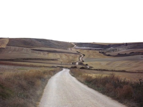 El camino en la meseta, Burgos, 2011.