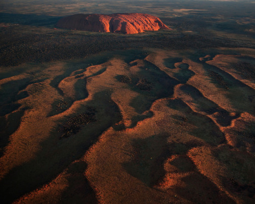 Amy Toensing: Gulkula, Mata Mata Homeland, Norther Territory Australia - Maningrida and Mutitjulu co