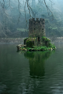livesunique:Swamp Castle, Pena National Palace,