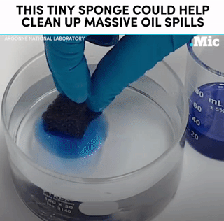 the-future-now:This tiny sponge could help clean up oil spills. | follow @the-future-now
