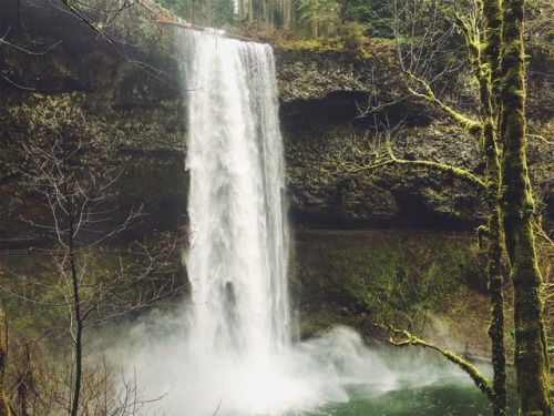 justapplyyourself:Silver Falls State Park. Silverton, Oregon.