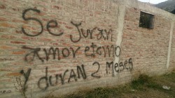 se-libre-pajaro-culiao:  Acción poética en Pichidegua, Chile.