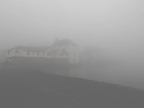 vxrsace:  przesada:  foggy  pale blog
