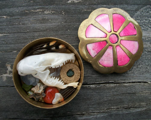 Just listed a few rad new goodies HERE in my Etsy shop! Curiosity collection, horns, emu egg, partia