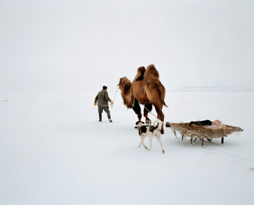 Laurent Weyl / Argos - Kokaral: Life restakes its claim (Kazakhstan)*I know the photo-series is supp