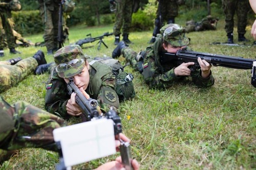 Lithuania, 2015. Last pictures from Lithuania conscription day, the battle of Kalkiske, and a joint 