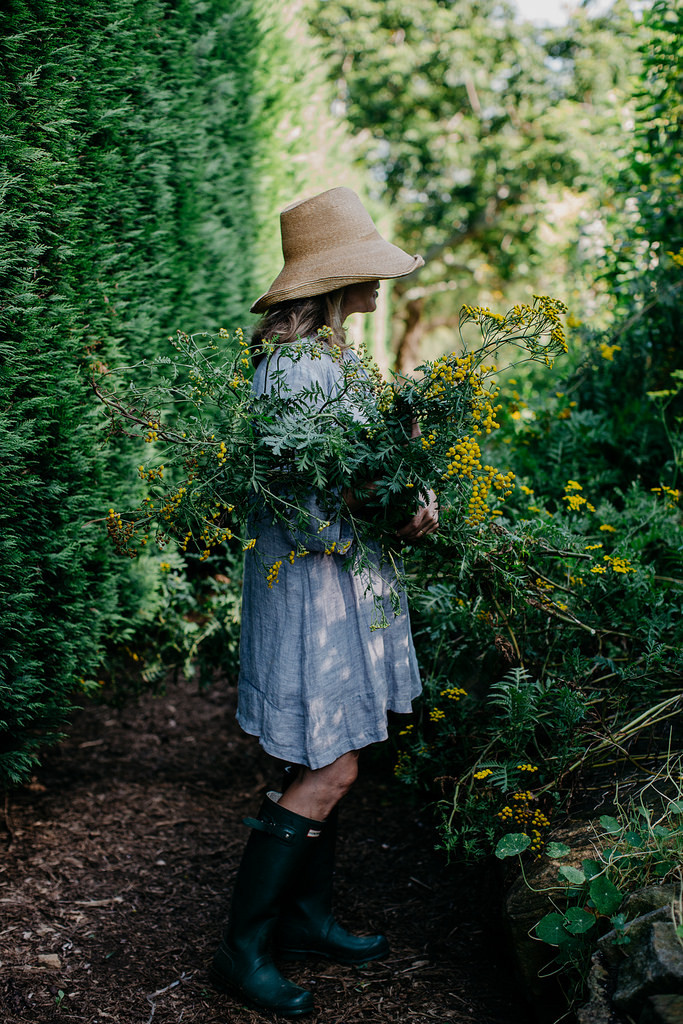 floralls:    Glenmore House Feb2016 by   Luisa Brimble  