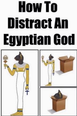 heyfunniest:  “How to distract an Egyptian