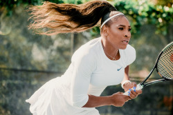 highkeygay:  collinerie:Serena Williams,