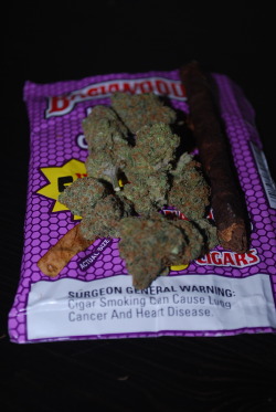 dank-fiend:  Backwoods x Fire OG 