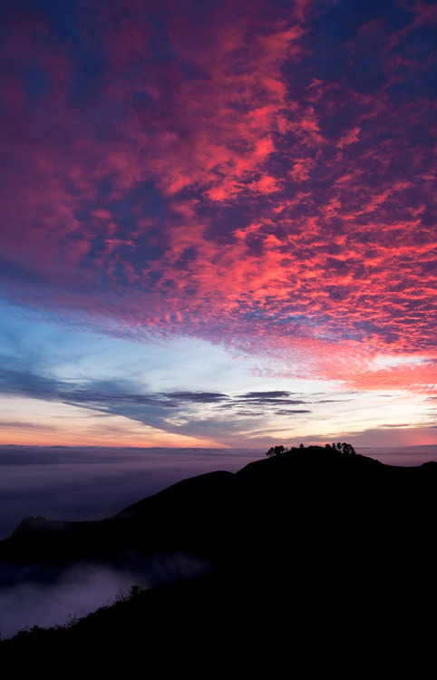 catxlyst - Sunset Colors above Hawk Hill (by danielpivnick)