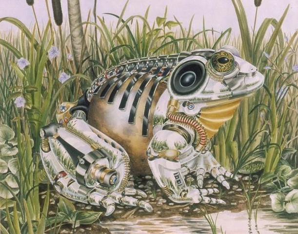 mucholderthen:  HEIDI TAILLEFER gives us a surreal mixture of Biology portrayed as