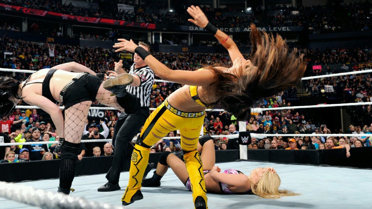 rawsmackdownnxtdivas:Paige and Emma vs Nikki Bella and Brie Bella:Raw 2/23/15