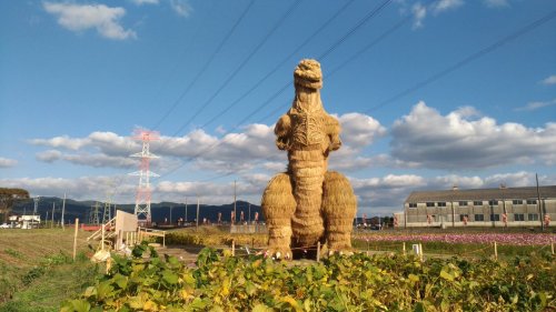 としあきたろぅ‏@ohbinder筑前町かがし祭の藁で出来たシンゴジラ、予想外の出来に驚いたわ自衛隊まで来てるし#シンゴジラ　#ゴジラRice straw Godzilla