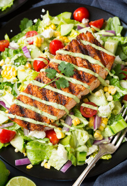 nom-food:  Mexican grilled salmon salad with
