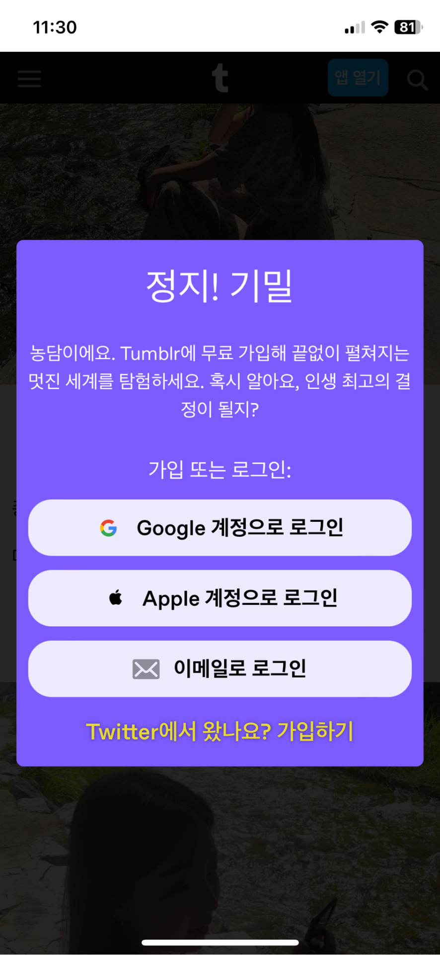 Tumblr media