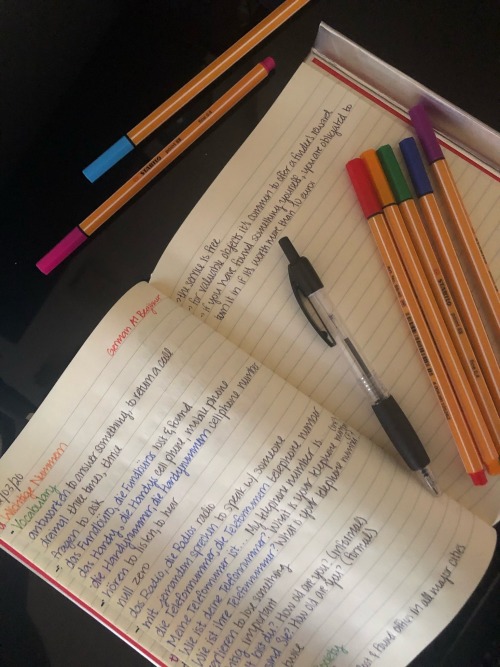 novice-book-thief