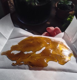time2legalize:  Q of Chem 91.. Tryna dab? 