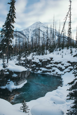 teapalm: (Tasha Marie) | Marble Canyon in the winterprints | instagram