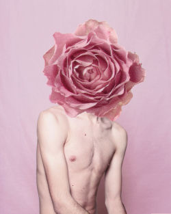 tepitome:  Bloom (1&2) Brian Oldham 