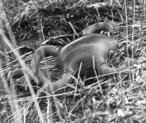 Truus van Aalten has a fear of faux frogs, by Alexander Binder
