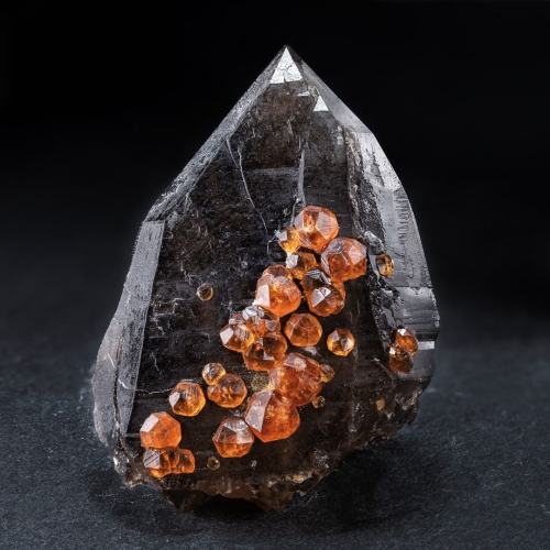 Amazing Spessartine Garnet On Smoky Quartz From Tongbei, Yunxiao Co., Zhangzhou Prefecture, Fujian Province,