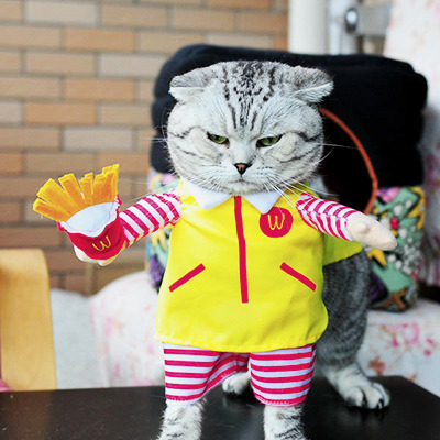 niseu: Pet Costumes Discount Code : Joanna15 (15% off)