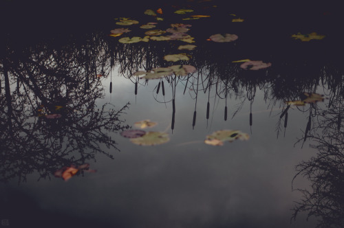 nh-art