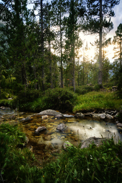 nordvarg:  Vall de Vallibierna \\ Felix Wiemann   