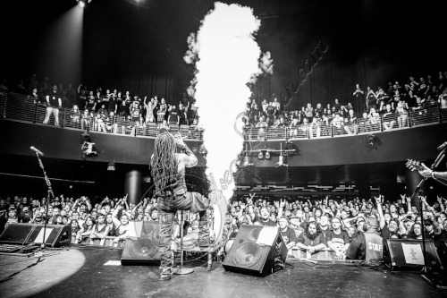 chelsealaurenla:  Sevendust 3/29/2013 - Some of my favorite boys. <3