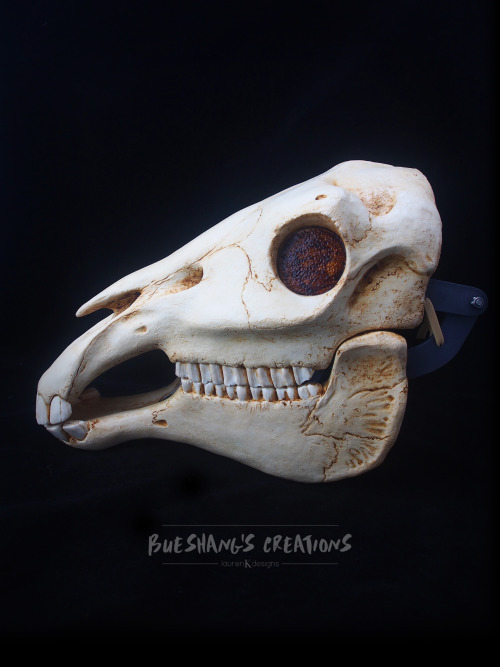 My newest mask is finally done! Meet the majestic horse skull, perfect for all you Mari Lwyd needs.T