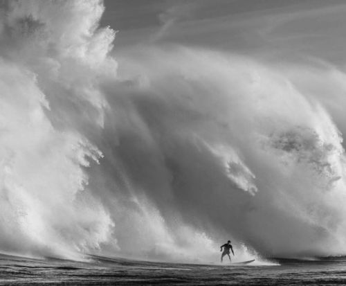 thedeathofcool:  Life on earth 🥀   @nathan_florence