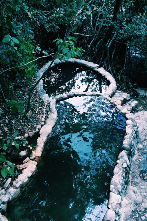 thelifeofjessicaa: Swimming in the rainforest by Jessica Altieri // Instagram: @thelifeofjessicaa