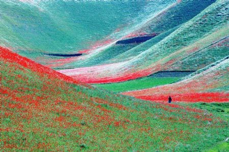 edenandink:  salahmah:  Spring in Afghanistan  this is so incredibly beautiful 