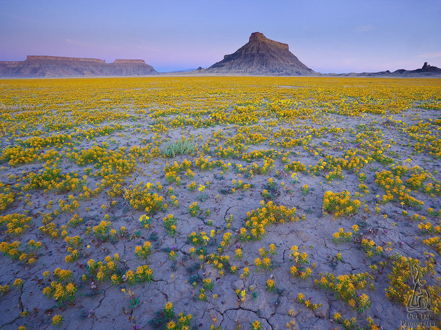 bo0ooo:spookylangsettte:cubebreaker:In his series, The Good Badlands, photographer