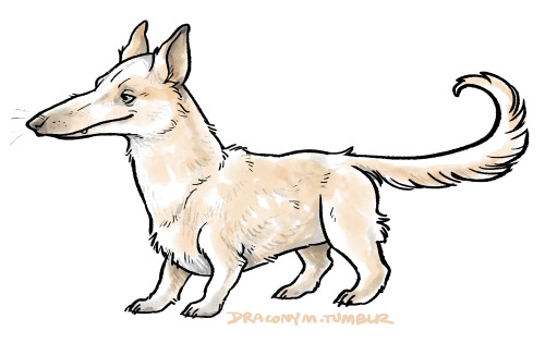 A drawing of, well, probably a dog. It has the head and tail of a borzoi and the body of a corgi.