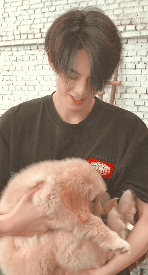 dylan wang lockscreens!!! please like or reblog if