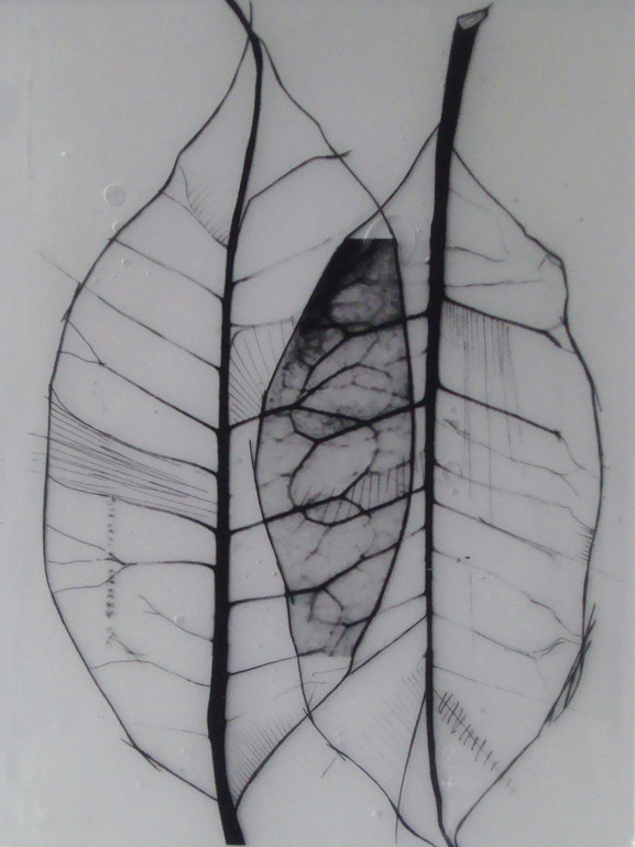 buxno:   Benjamin del Castillo; Assemblage / Collage, Mixed Media “Leaves organic”