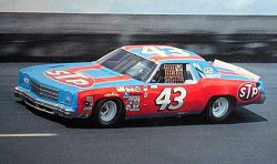 itsbrucemclaren:  1979 Richard Petty  Darrell Waltrip Tide     Cale Yarborough Hardee’s    David Pearson Holman Moody Ford 1969  