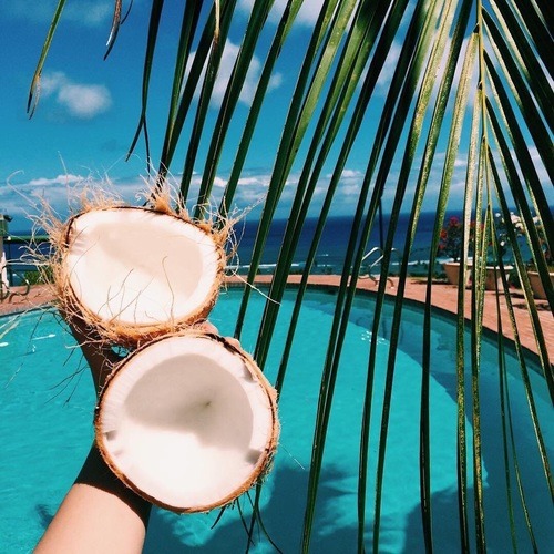 livingyoungwildfree: summer