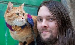 caterville:  A Street Cat Named Bob: The