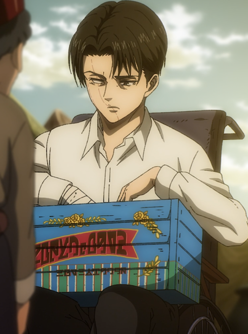 My Only Wish For The Last Episode (like REALLLYY Wished For) Was For Armin And Levi To Survive And Live