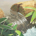 fairfem:Nature in anime appreciation post 🌱 source: pinterest