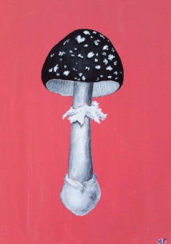 bugfeet:  mushroom by me