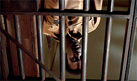 rachelmcadamses:The drunk in number two must be awake.Blazing Saddles (1974) dir. Mel Brooksmade the