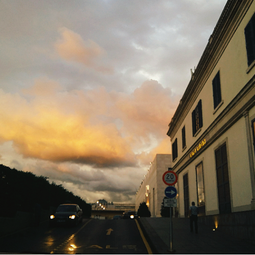 dreamerwizard:lovely day w/aunt 13|08
