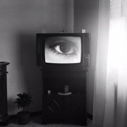 thedeathofcool:  The revolution will not be televised  Photography Lee Friedlander